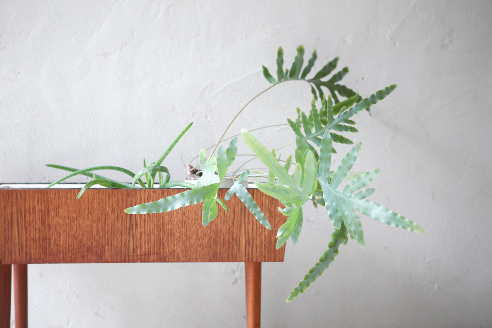 Tile top Planter Stand from Denmark (B) | phono | 金沢 北欧 中古 